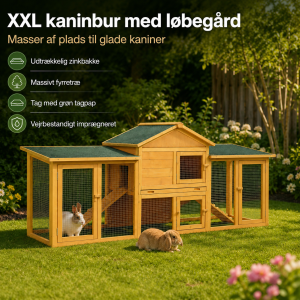 Kaninbur "Hannover"